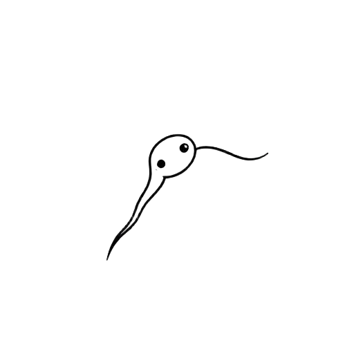 Conception