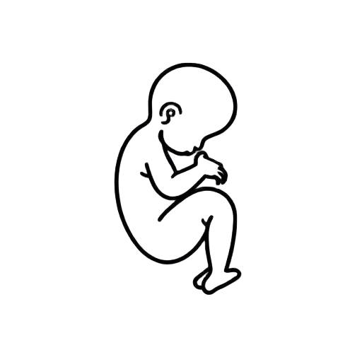 In utero